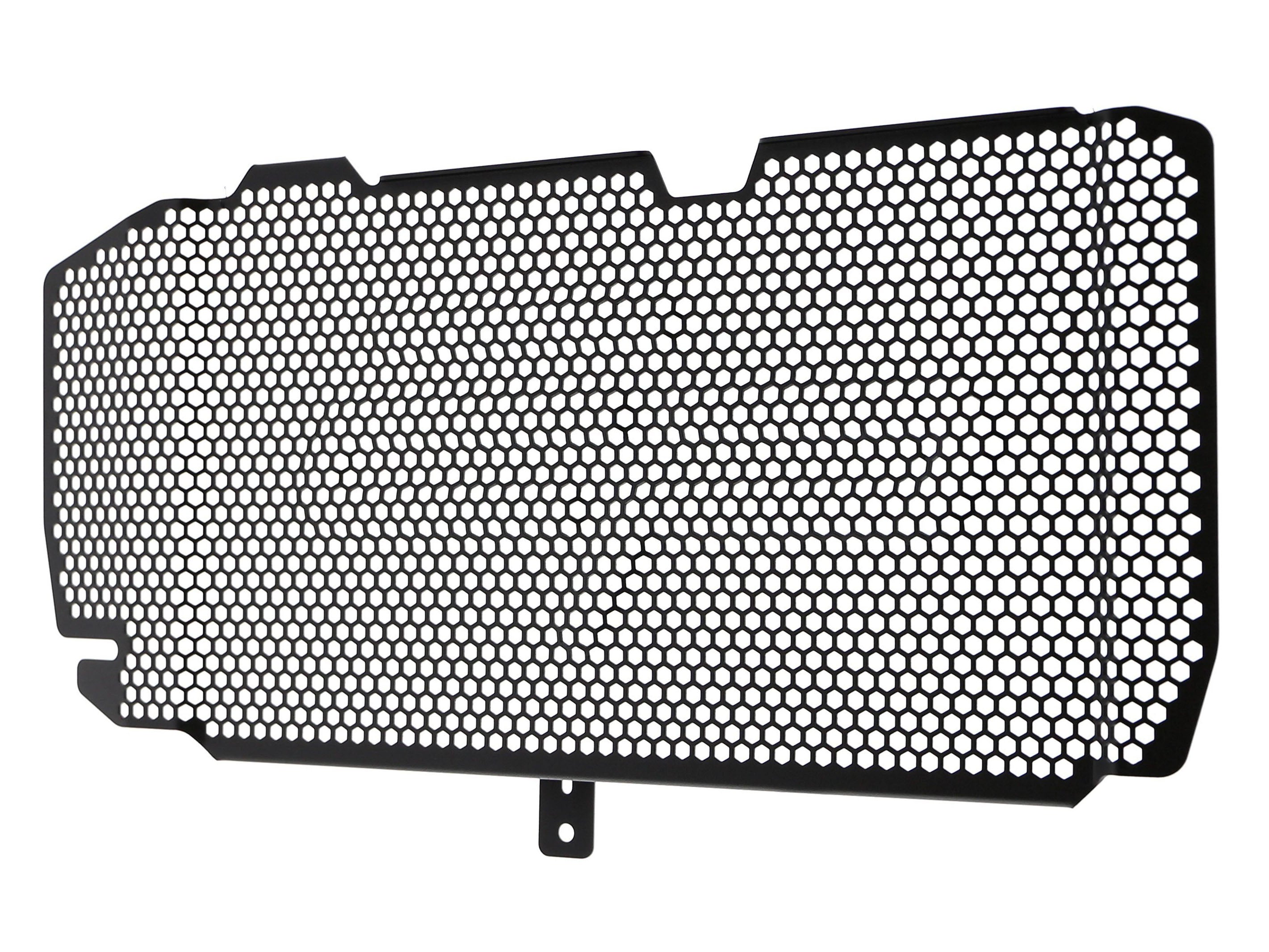 Evotech, EVOTECH BMW F800R Radiator Guard